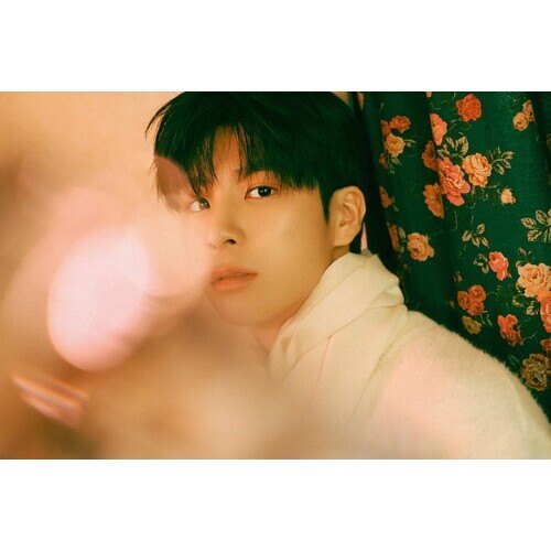 정동원 프로필