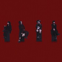 데이로터스 (Daylotus)