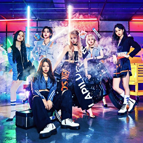 Lapillus 프로필