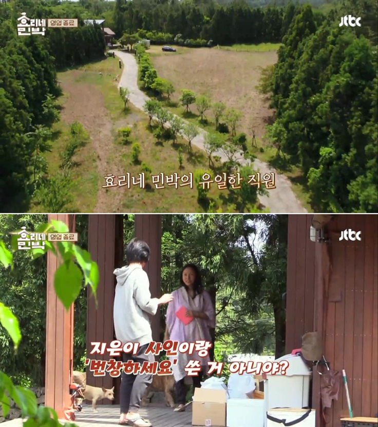 멜론매거진>멜론 세대를 초월한 두 여성 디바의 우정 만들기! 효리네 민박