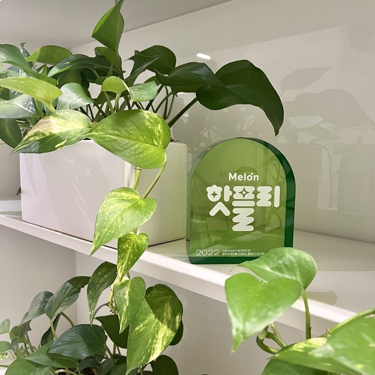 멜론매거진>멜론 청담에 무성하게 자란 책의 숲, 소전서림