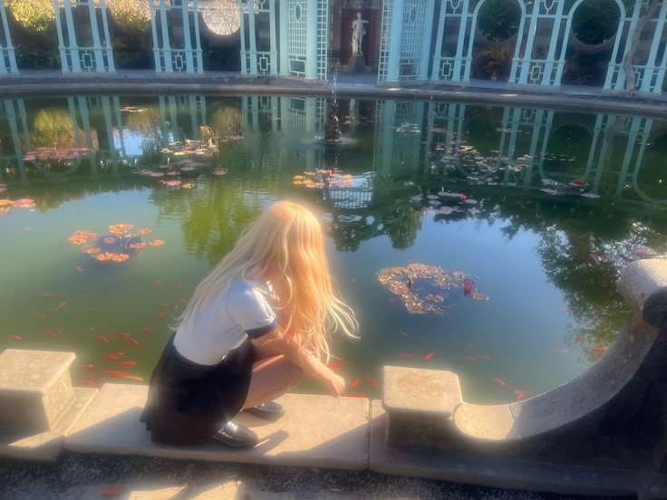 34로제 이미지
