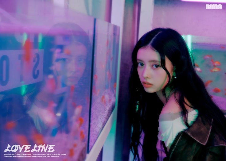 닿은 이미지
