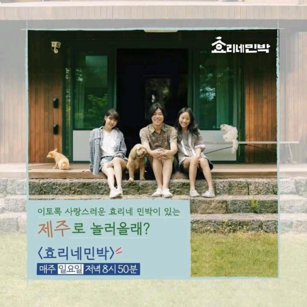 DJ플레이리스트 정보>멜론 (13화)효리네 민박 BGM,추천음악(Feat.이효리, 이상순, 아이유)