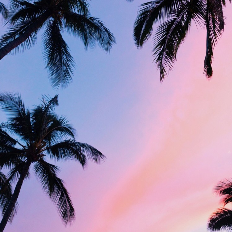 보컬있는 감성 EDM 취향저격!! 청량감 감성 EDM Melon