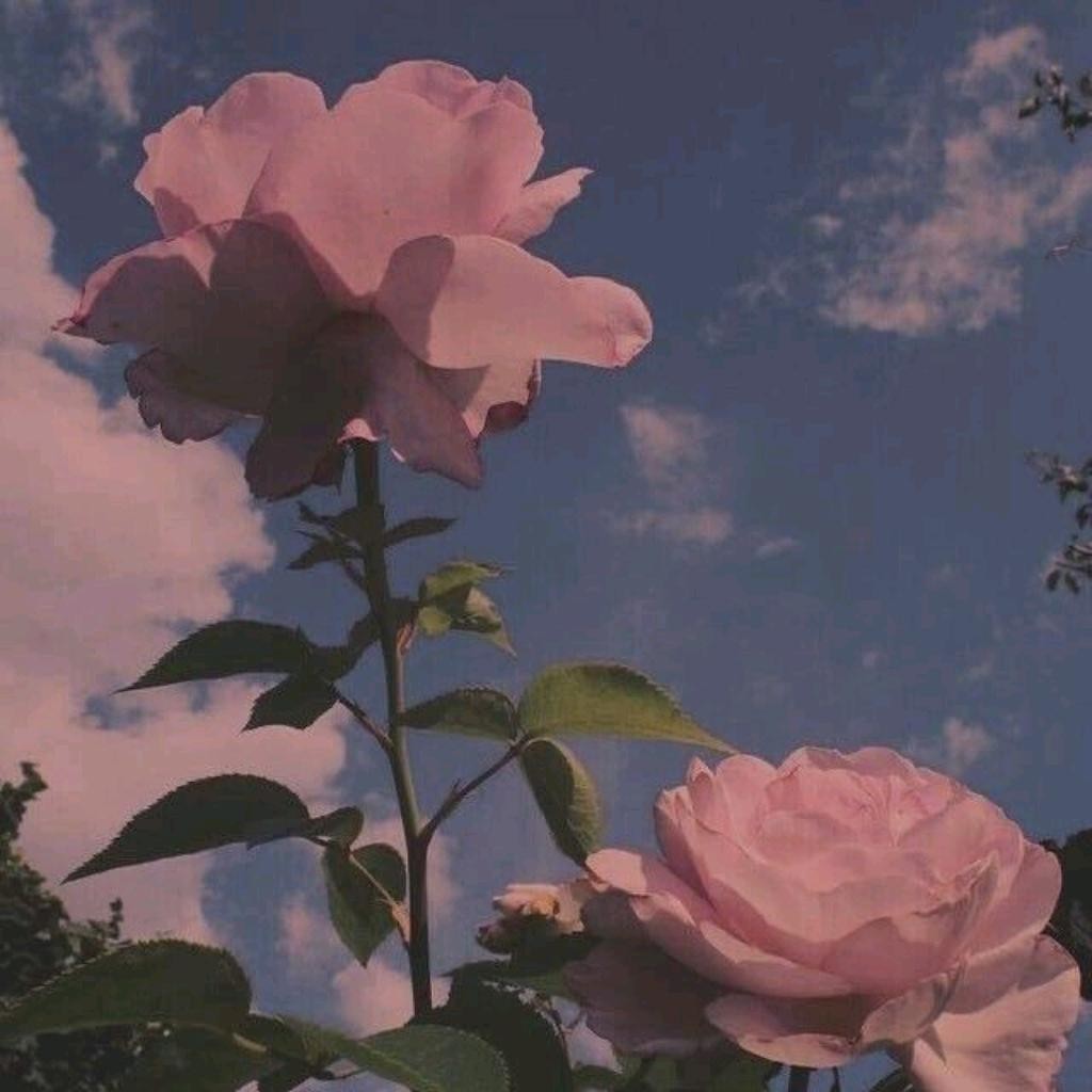 추천 영화