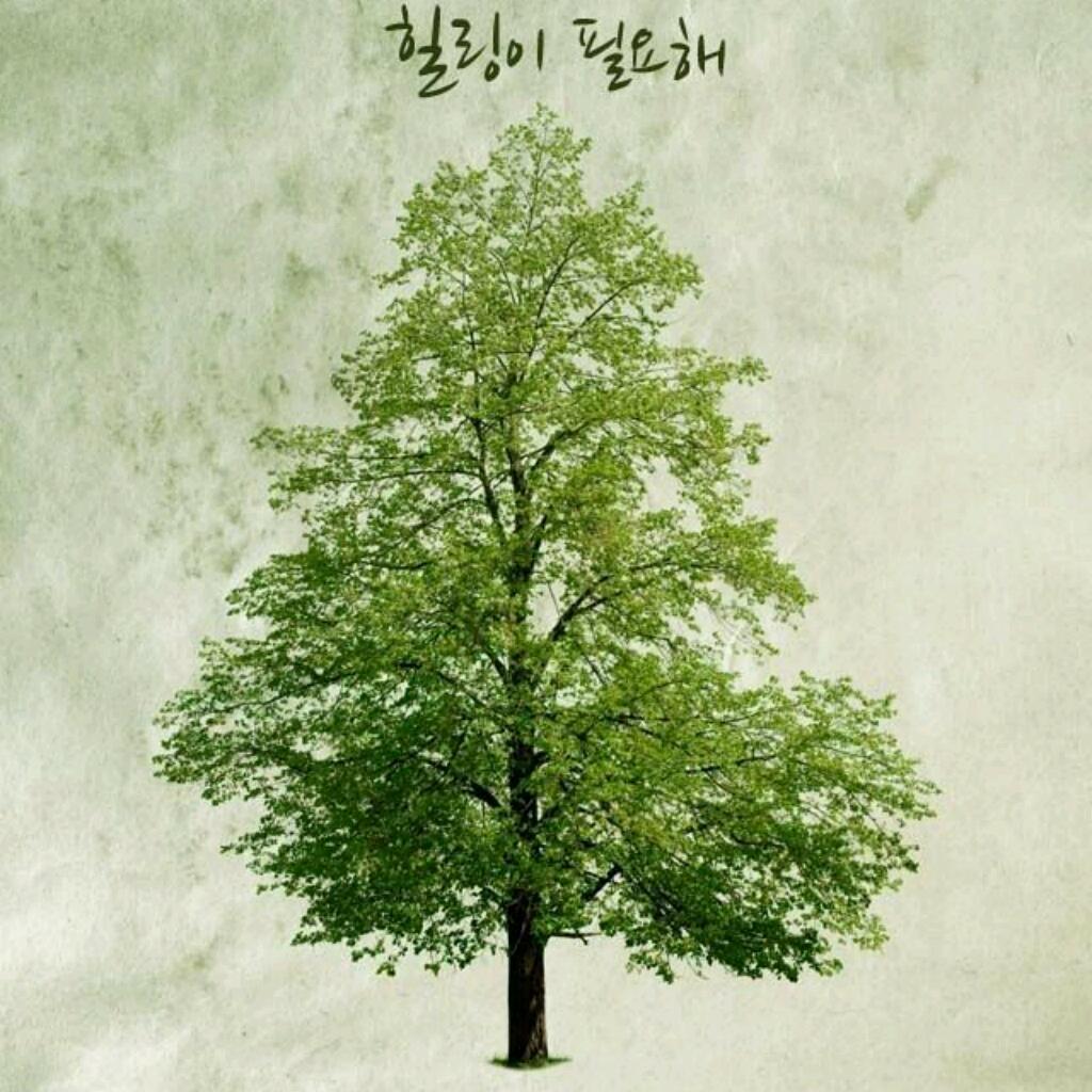 DJ플레이리스트 정보>멜론 머리가 맑아지는 힐링음악 모음집
